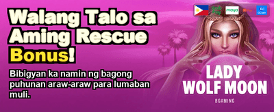 Win Big at WinDream Casino!